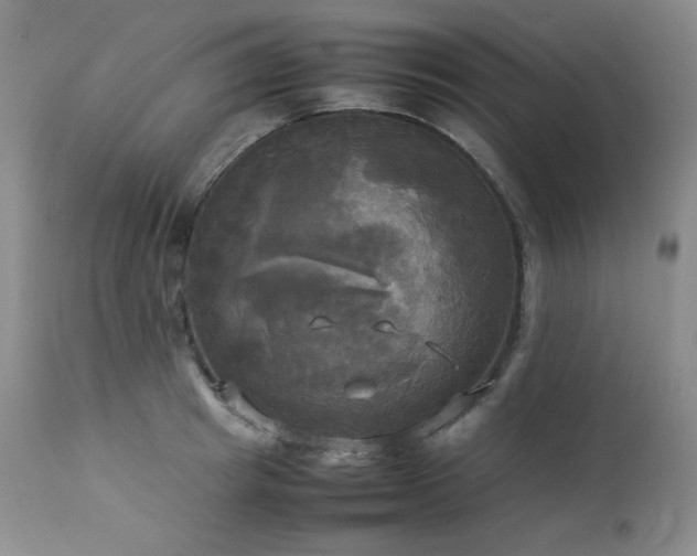 X0000114110849200910051511