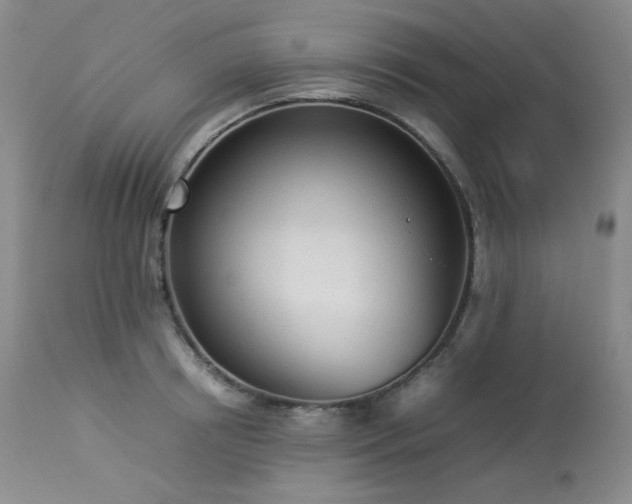 X0000114110850200910051511