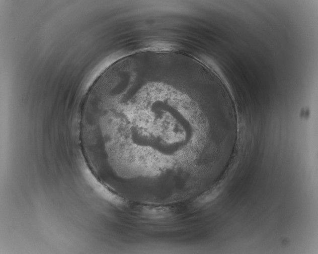 X0000114110851200910051511