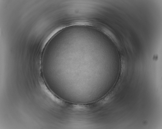 X0000114110852200910051511
