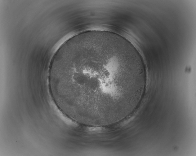 X0000114110853200910051511