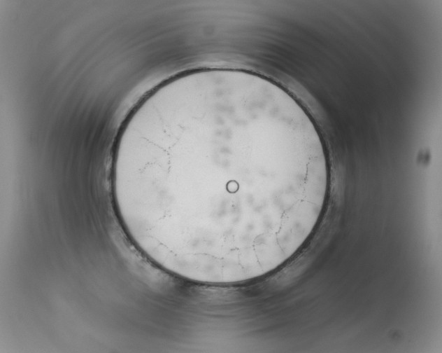 X0000114110856200910051511