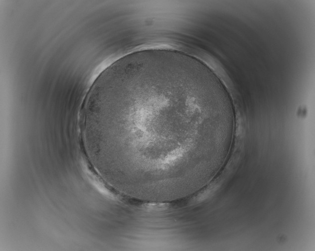 X0000114110858200910051512