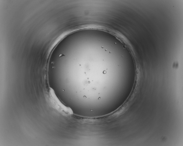 X0000114110860200910051512