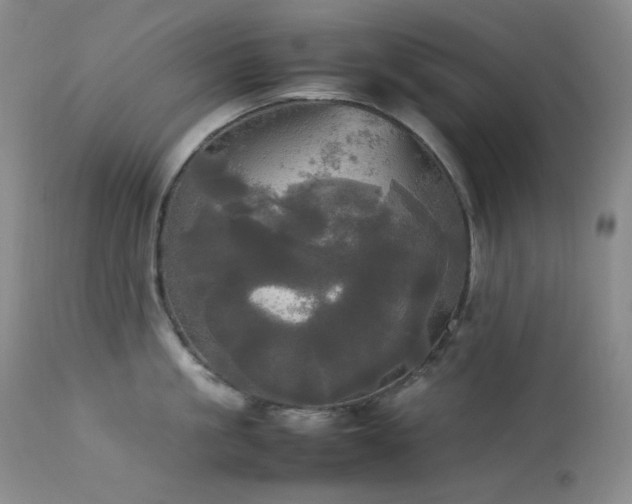 X0000114110861200910051512