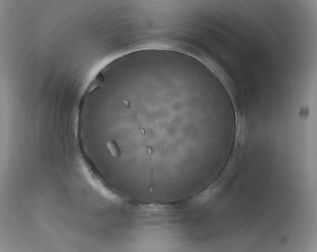 X0000114110862200910051512