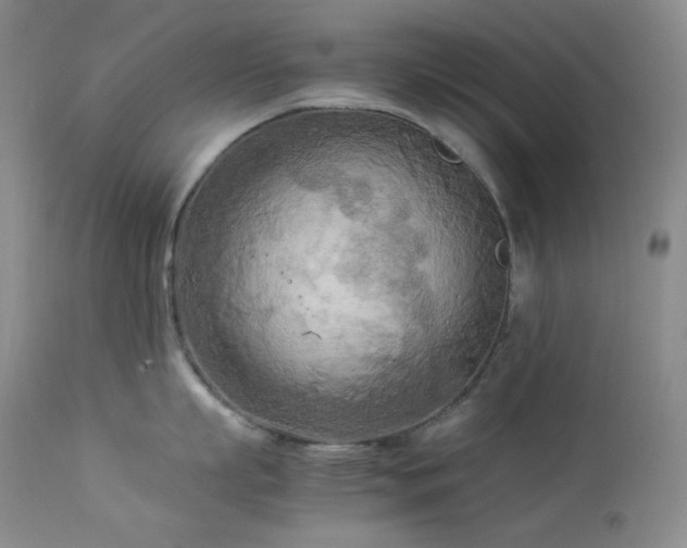 X0000114110863200910051512