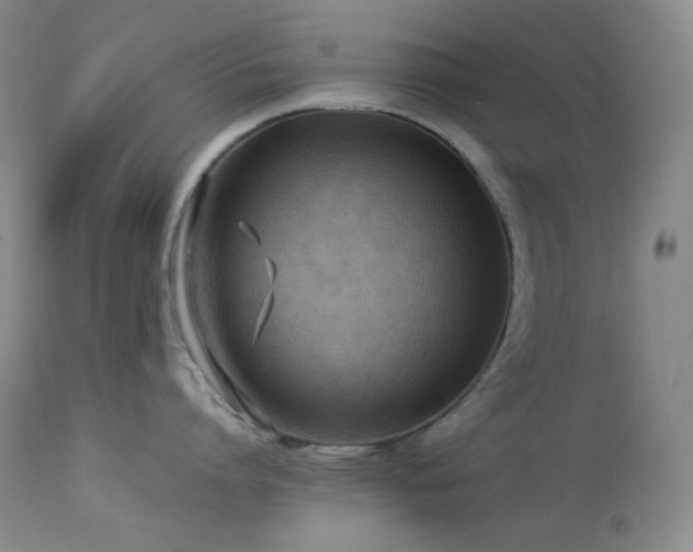 X0000114110864200910051512