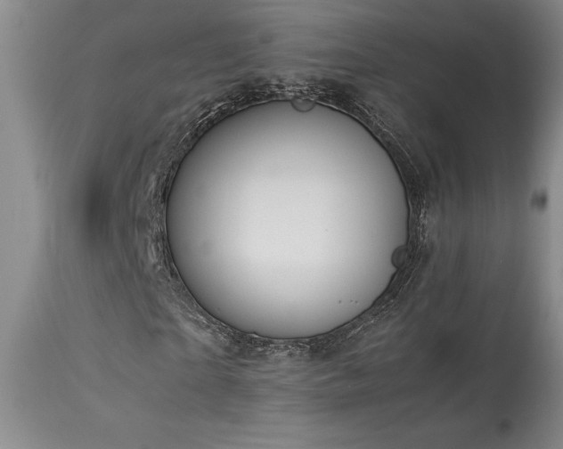 X0000114110865200910051511