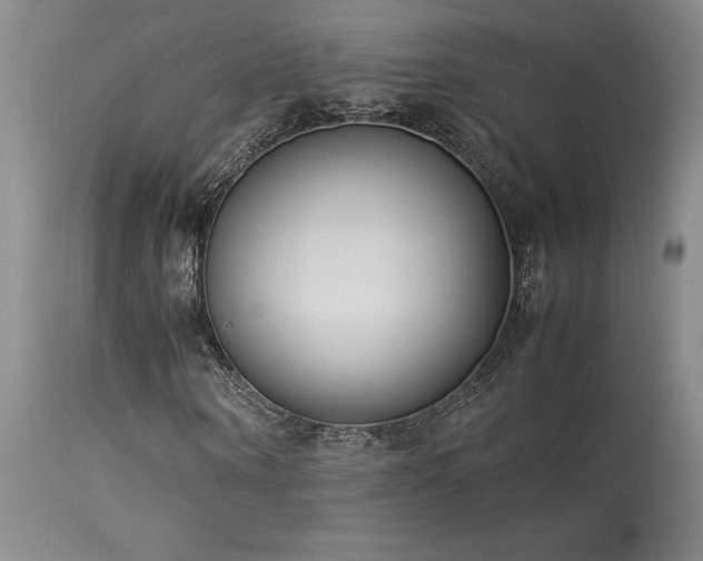 X0000114110866200910051511