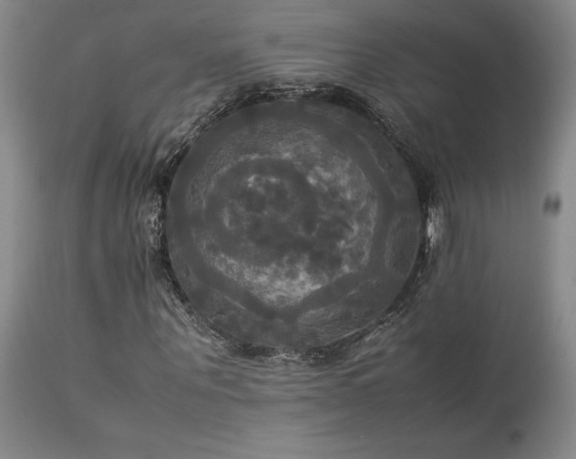 X0000114110867200910051511