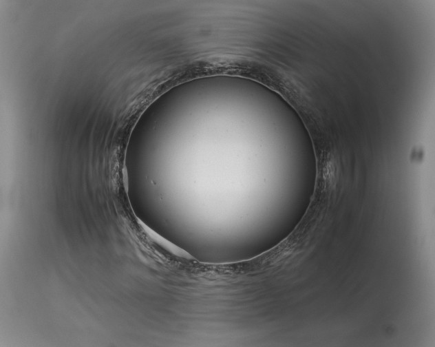 X0000114110868200910051511