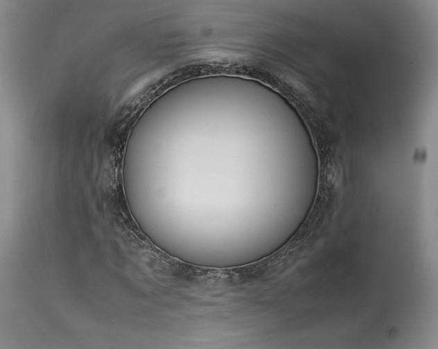 X0000114110869200910051511