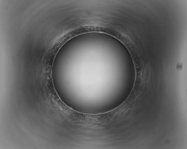 X0000114110870200910051511