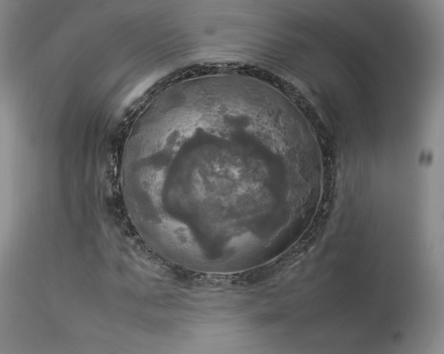 X0000114110871200910051511