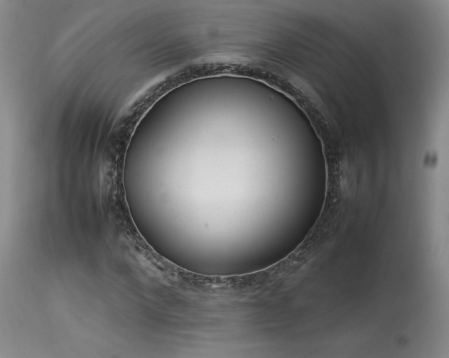 X0000114110872200910051511