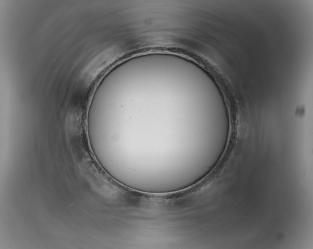 X0000114110873200910051511