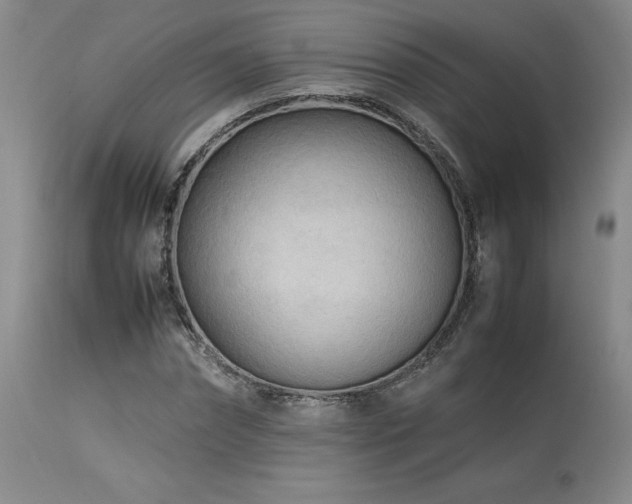 X0000114110874200910051511