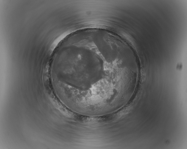 X0000114110875200910051511