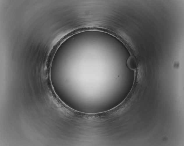 X0000114110876200910051511