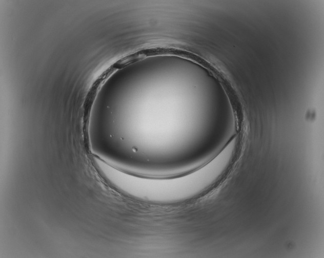 X0000114110877200910051511