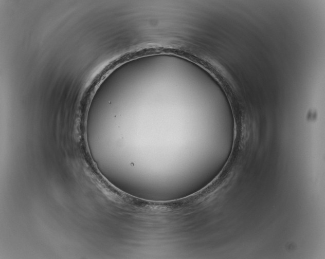 X0000114110878200910051511