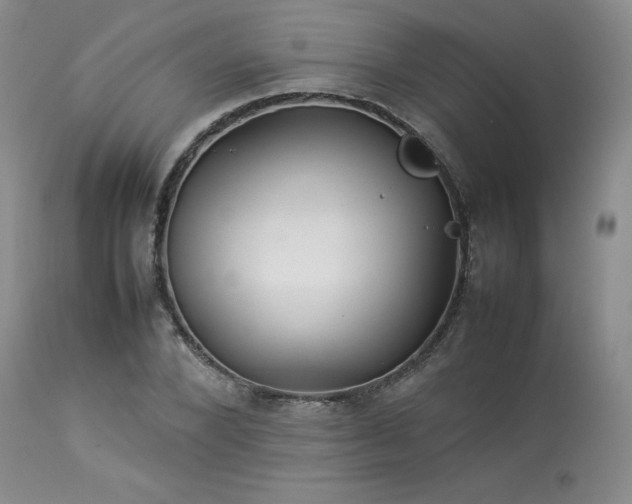 X0000114110880200910051511