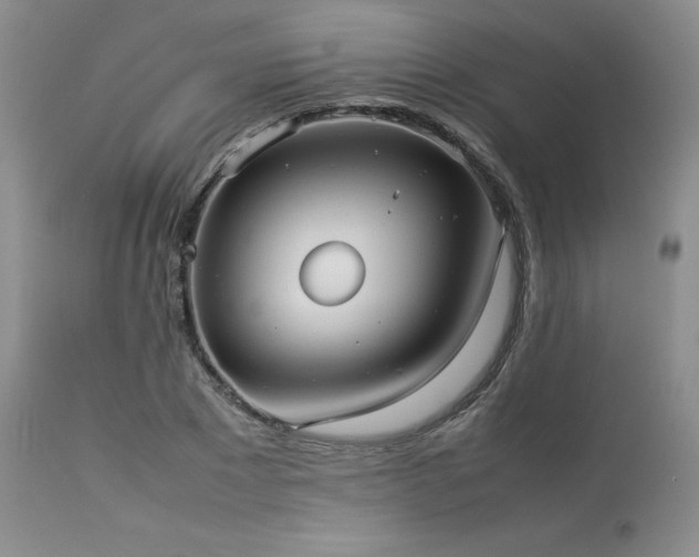 X0000114110881200910051511