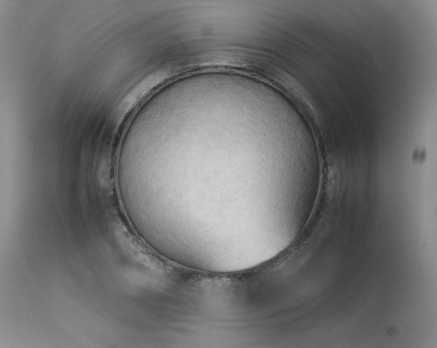 X0000114110882200910051511