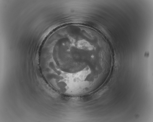X0000114110883200910051511