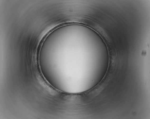 X0000114110884200910051511
