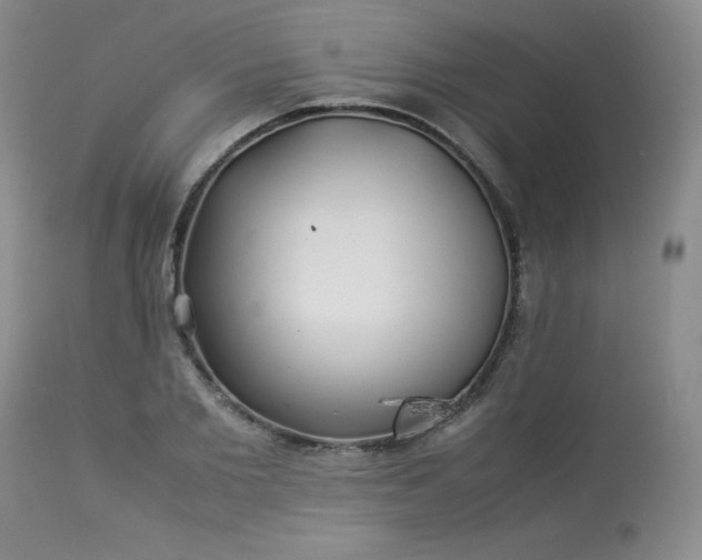 X0000114110885200910051511