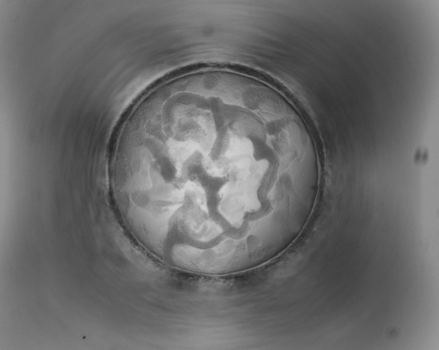 X0000114110887200910051511