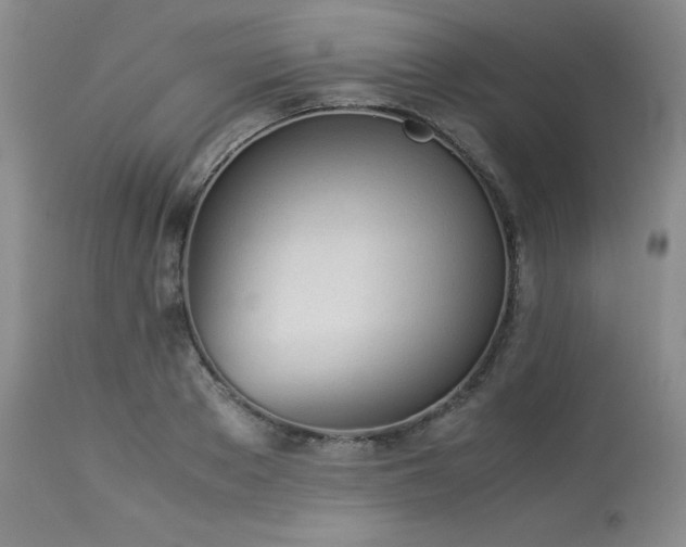 X0000114110889200910051511