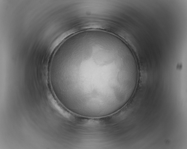 X0000114110890200910051511