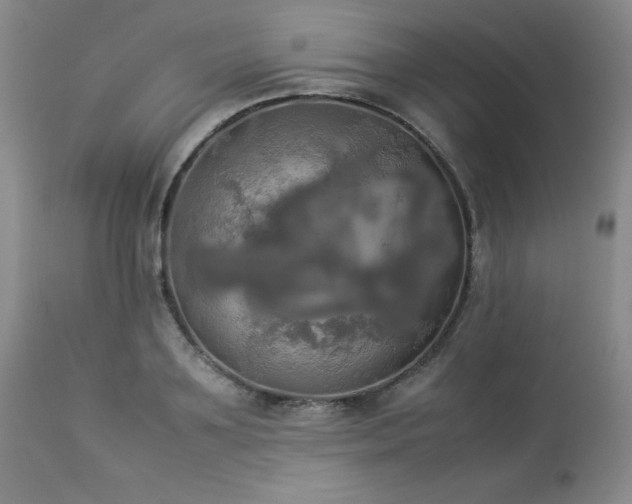 X0000114110891200910051511