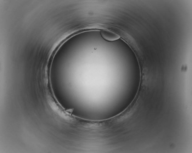 X0000114110892200910051511