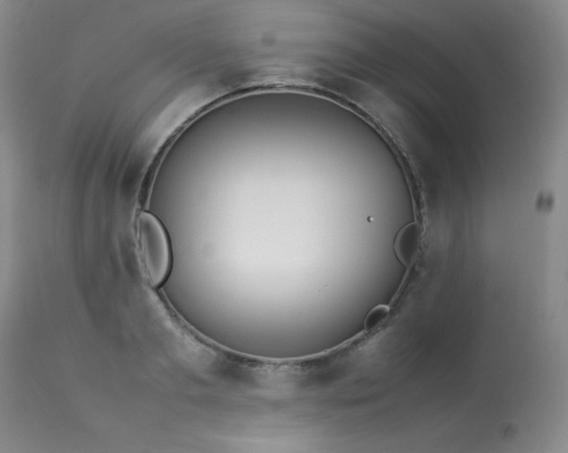 X0000114110893200910051511