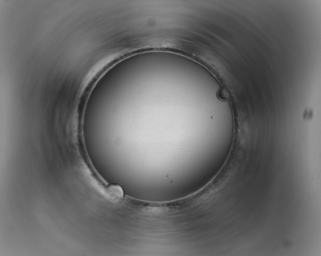 X0000114110894200910051511
