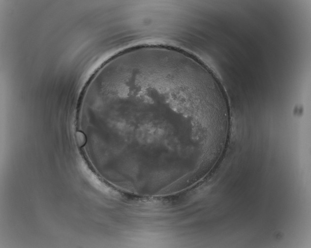 X0000114110895200910051511