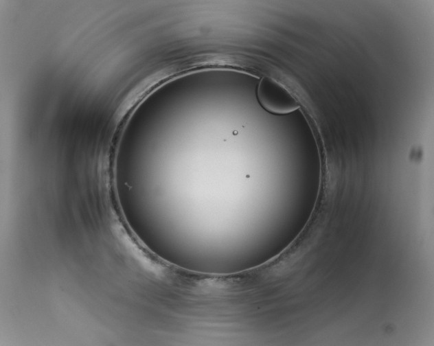 X0000114110898200910051510