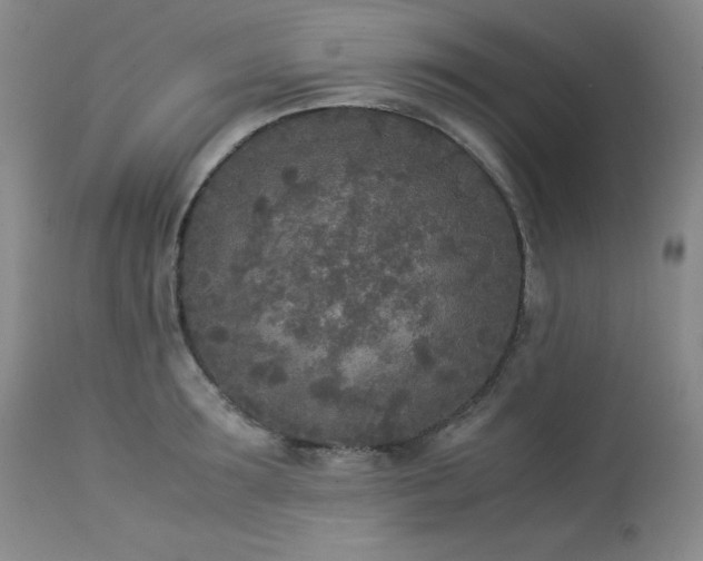 X0000114110899200910051510