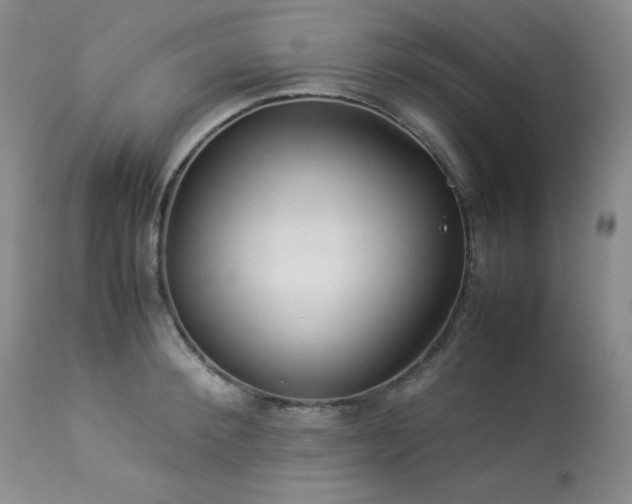 X0000114110900200910051510