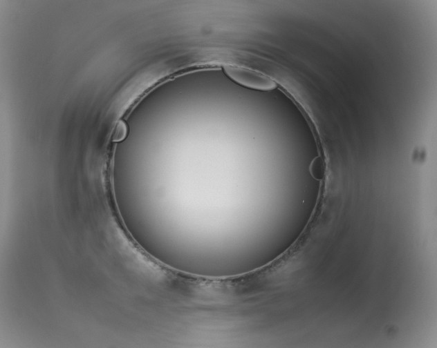 X0000114110901200910051510