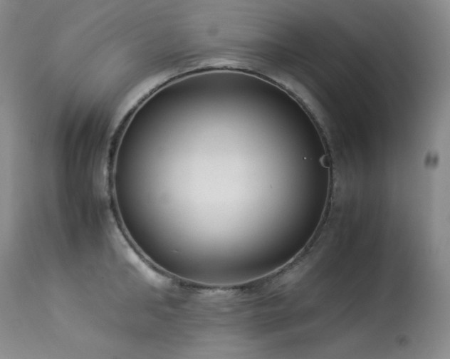 X0000114110902200910051510