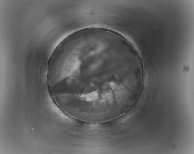 X0000114110903200910051510