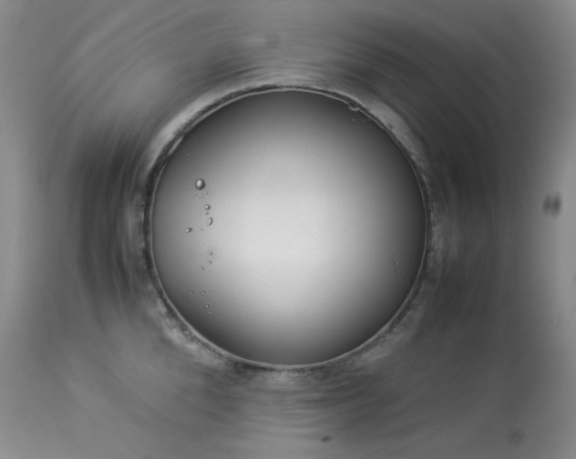 X0000114110904200910051510