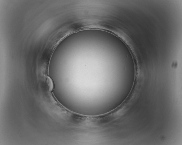 X0000114110905200910051510