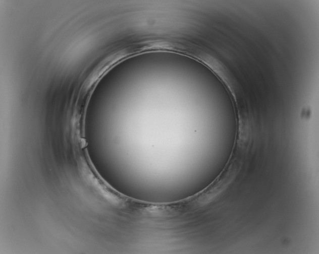X0000114110906200910051510