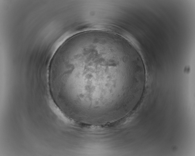 X0000114110907200910051510